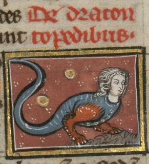 Draconcopedes as a dragon with a female human head