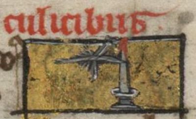 Gnat being drawn to a flame