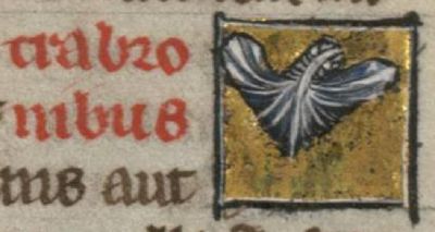 Hornet as a strange flying insect