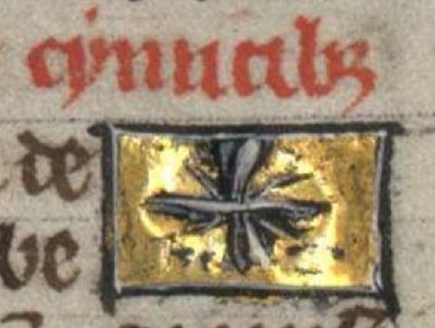 Bedbug as a flying insect