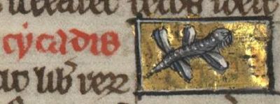 Cicada as a four winged insect