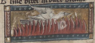 Cariste flying through fire