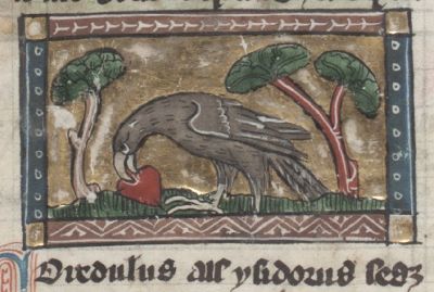 Coredulus eating a heart