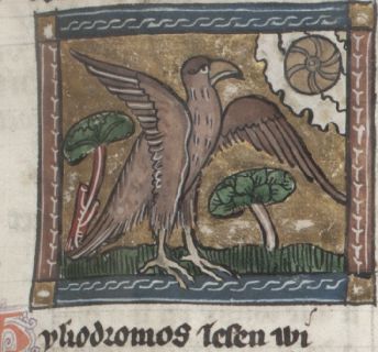 Heliodromos following the sun