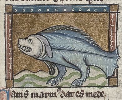 Sea-dog as a fish with a dog face