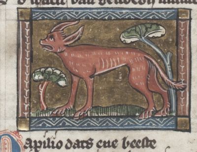 Pathius as a long-legged beast the color of blood