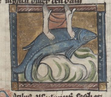 Nautilus holding up a sail with its arms