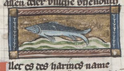 Allec as a blue fish