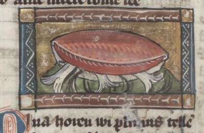 Pina capturing three small fish