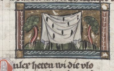 Fleas infesting a white sheet