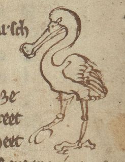 Spoonbill with correctly shaped bill