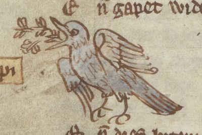 Flycatcher catching flies