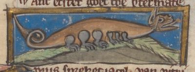 Tysus serpent with multiple legs