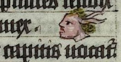 Emigraneus, a head worm