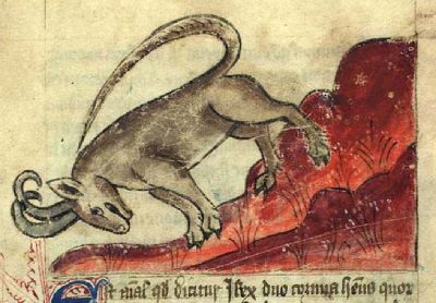 Ibex falling from a mountain