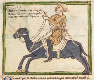 Man riding a dromedary