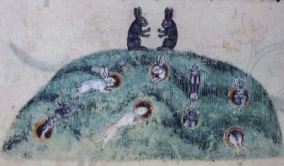 Rabbits on a hill