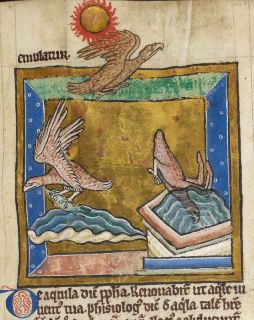Eagle flying to sun, diving in water, catching fish
