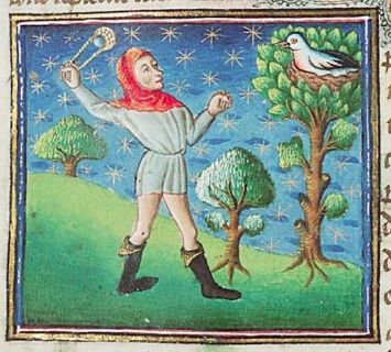 Cinnamologus in tree, hunter with sling