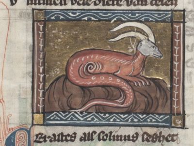 Cerastes, snake with horns